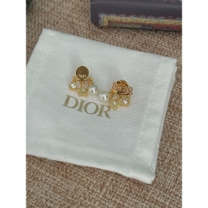 Christian Dior Earrings